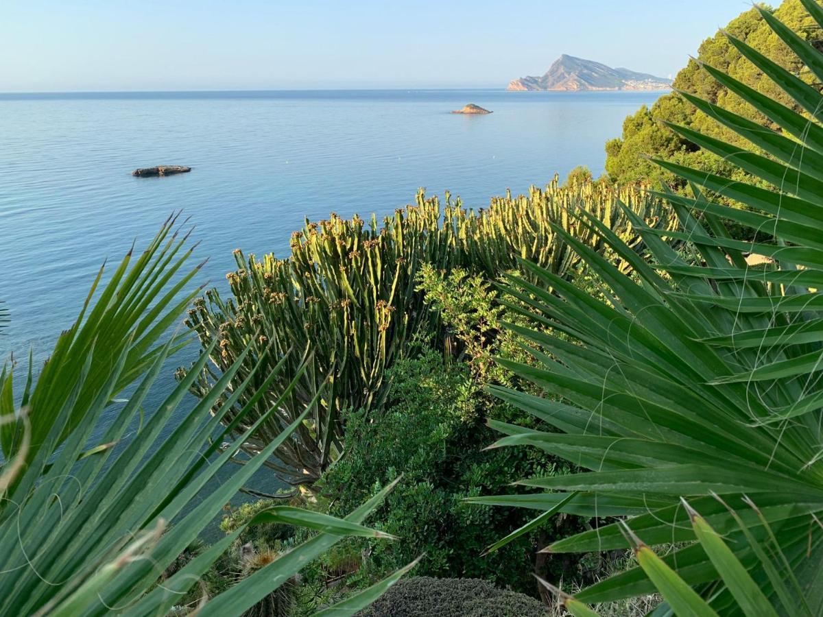 El Jardin Botanico Villa Luz Алтеа Екстер'єр фото