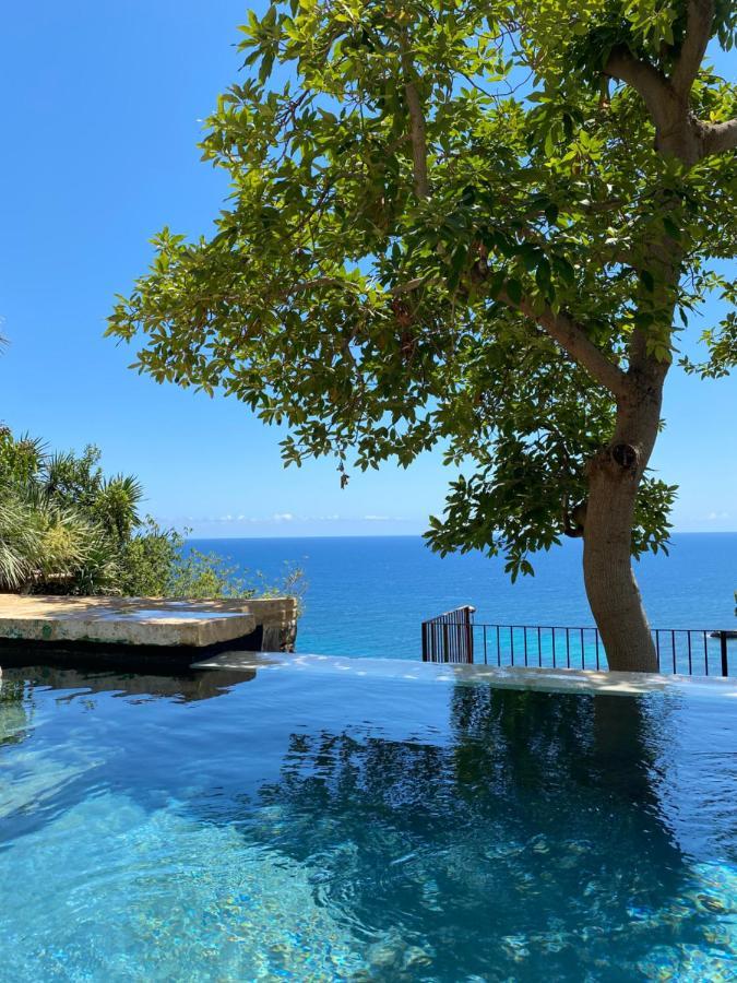 El Jardin Botanico Villa Luz Алтеа Екстер'єр фото