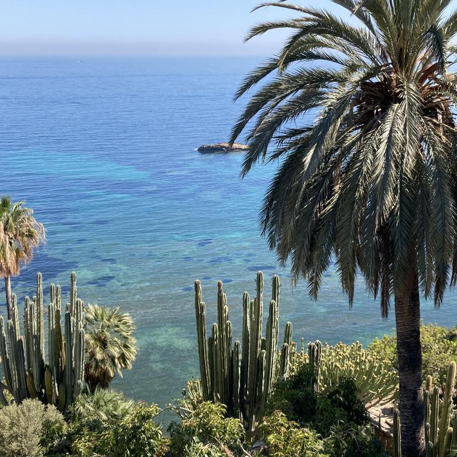 El Jardin Botanico Villa Luz Алтеа Екстер'єр фото