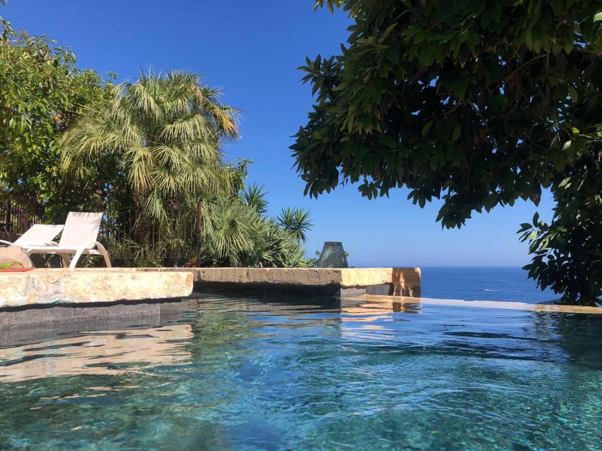 El Jardin Botanico Villa Luz Алтеа Екстер'єр фото