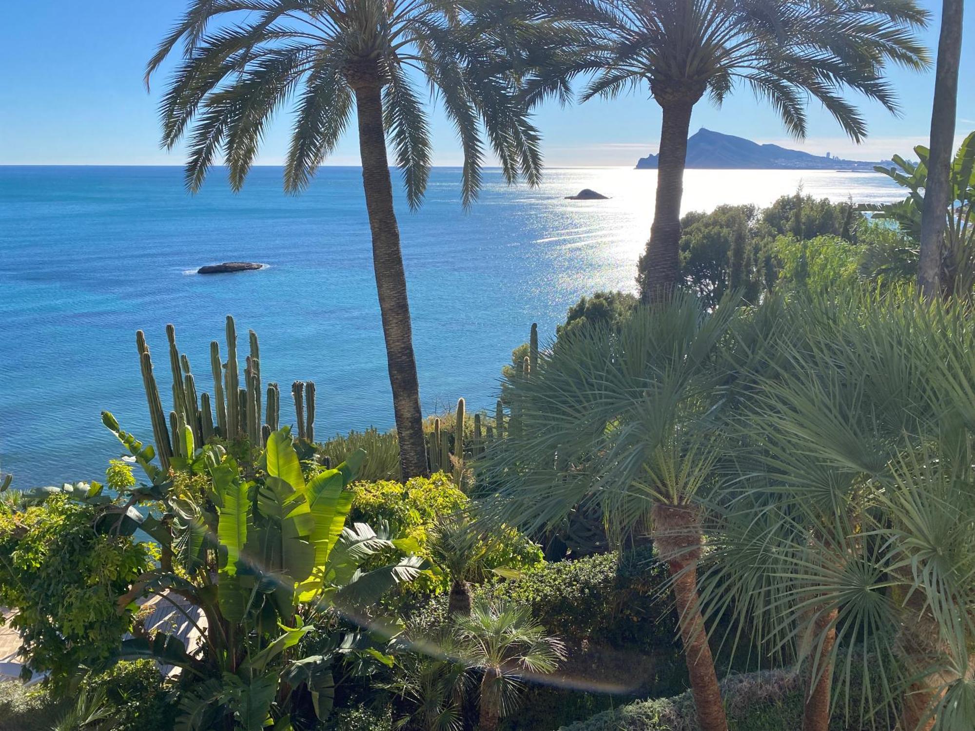 El Jardin Botanico Villa Luz Алтеа Екстер'єр фото