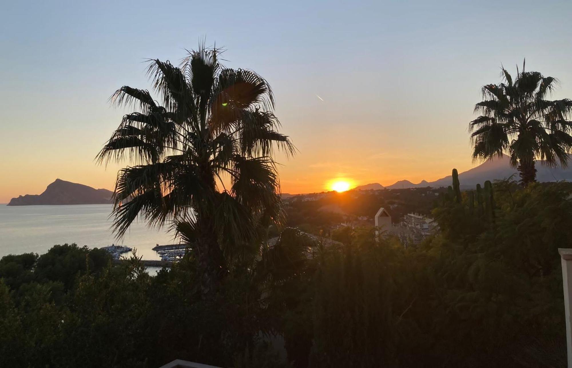 El Jardin Botanico Villa Luz Алтеа Екстер'єр фото